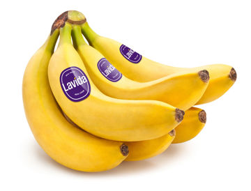 Cheap Price Banana Lavida